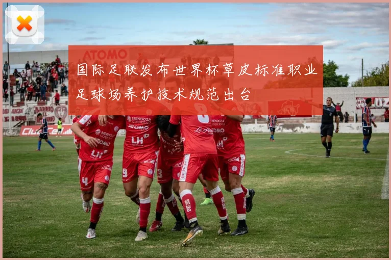 国际足联发布世界杯草皮标准职业足球场养护技术规范出台