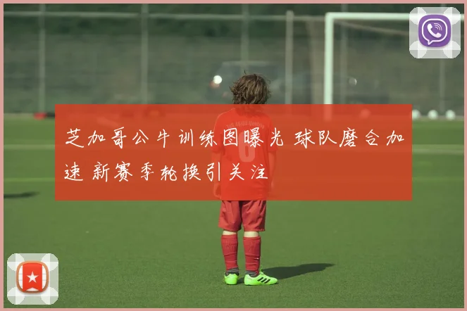 芝加哥公牛训练图曝光 球队磨合加速 新赛季轮换引关注