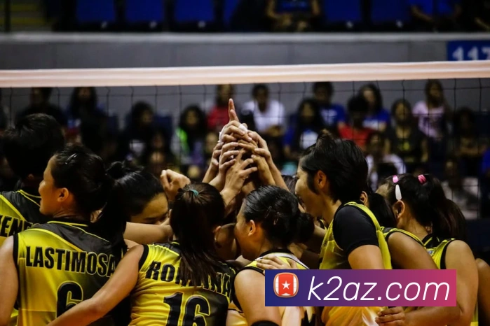 App Interface Preview